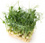 Горох зеленый (мадрас) для проращивания и микрозелени 10кг